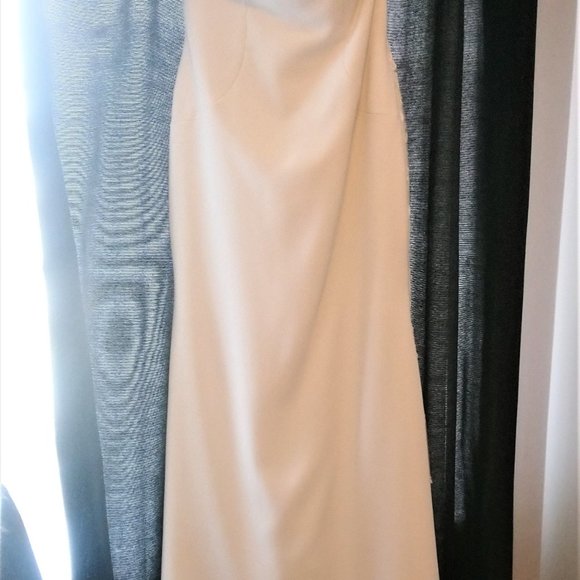 Pronovia Barcelona Wedding Dress. Size 12. White - Ivory - Picture 14 of 15